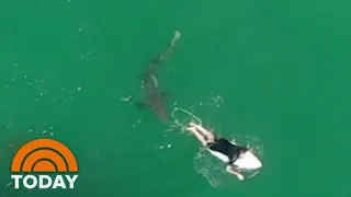 Video Shows Great White Shark Swimming Behind Surfer | TODAY