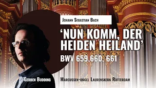Bach: 'NUN KOMM, DER HEIDEN HEILAND', BWV 659, 660, 661 | Gerben Budding, Marcussen-organ Rotterdam