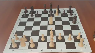 Шахматы. Как быстро выигрывать в шахматах
