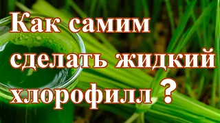 Жидкий хлорофилл #хлорофилл#жидкийхлорофилл