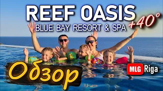 Обзор отеля Reef Oasis Blue Bay Стоит ли ехать в этот отель?