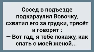 Сосед в Подъезде Подкараулил Вовочку! Сборник Свежих Анекдотов! Юмор!