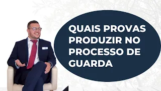 Quais provas produzir no processo de guarda