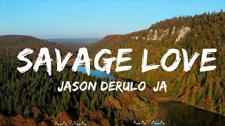 Jason Derulo, Jawsh 685 - Savage Love  || McGee Music