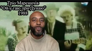 Тріо Мареничів "Ой у гаю при Дунаю" 1988 | REACTION