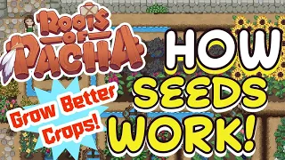 Roots of Pacha Seed and Crop Ranks Guide