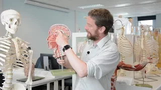 Brain - midline neuroanatomy part 1