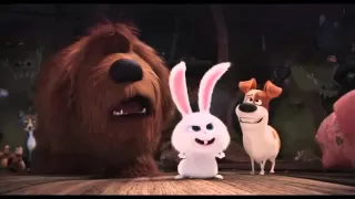 Мультфильм Тайная жизнь домашних животных (2016) в HD смотреть трейлер