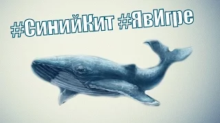 Синий кит. Вся правда о синем ките. Сенсация!!!