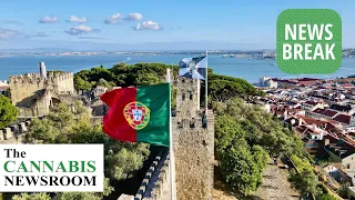 Portuguese Medical Cannabis Exports Increase by 600%