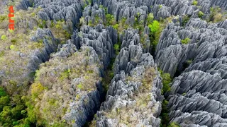 Madagascar - Le Labyrinthe secret de Namoroka | Documentaire entier