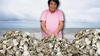 Greatest TALABA in the Philippines? ₱30 per Kilo! (New Washington, Aklan)