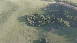 Possible bigfoot in Idaho!! Flying the drone around and ran across this.