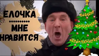 Бийск. Ёлочка мне  нравится?! Нарезка