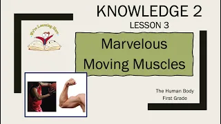 Kn 2 Ls 3 Marvelous Moving Muscles