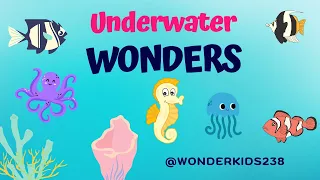 "Underwater Wonders: Exploring the Hidden World of Marine Animals" @Wonderkids238