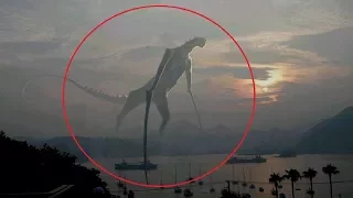 5 Mysterious Creatures Caught on Camera