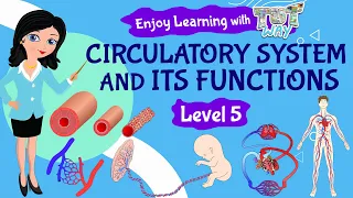 Circulatory System and its Functions | Science | Grade-5 | TutWay |