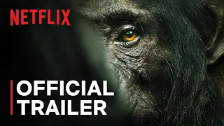 Chimp Empire | Mahershala Ali | Official Trailer | Netflix