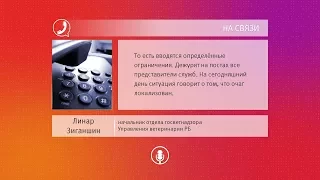 UTV. Очаг вируса ящур в Башкирии локализован