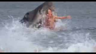 JAWS Alex Kintner Death