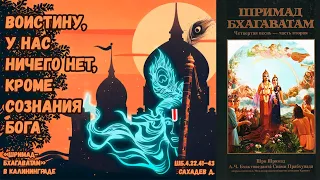 Воистину, у нас ничего нет, кроме сознания Бога. Сахадев д. ШБ.4.22.41–43