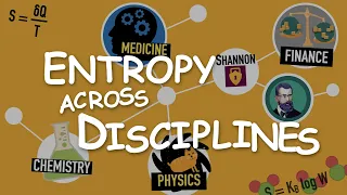 Entropy across disciplines: A unified view of disorder