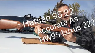 Hatsan 95 .22 Accurate As Weihrauch HW95 Luxus 22?