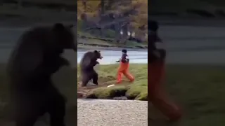 شاهد ما فعله الدب لهذا الرجل 🤣😅