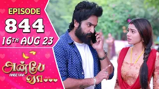 Anbe Vaa Serial Episode 844 | 16th Aug 2023  | Virat | Delna Davis | Saregama TV Shows Tamil