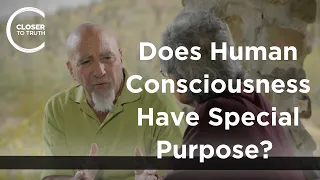 Stuart Hammerof - Does Human Consciousness Have Special Purpose?