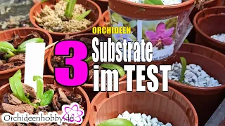 Orchideensubstrate im Vergleich - welches ist das beste?