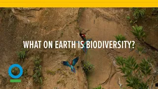 What on Earth is Biodiversity?