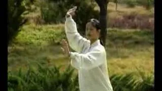 Tai Chi 42 Forms Part 2 - Teach