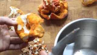 Cleaning lobster mushrooms and saving the trim