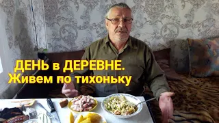 Живем на пенсии в деревне. Посадила капусту и редиску на огороде. Приготовила салат накормила мужа