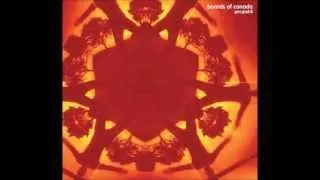 Boards of Canada - Dandelion(Reversed)