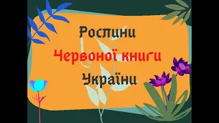 Рослини Червоної книги України