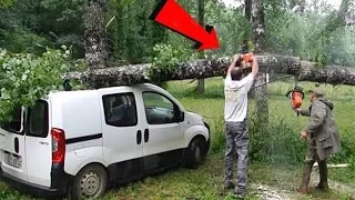 Idiots Tree Felling Fails with Chainsaw Machine - Tree Falls on Head and House