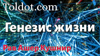 [7 часть] Генезис жизни. Мысли о Боге и о человеке. Рав Ашер Кушнир