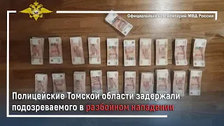 Ирина Волк: Полицейские Томской области задержали подозреваемого в разбойном нападении