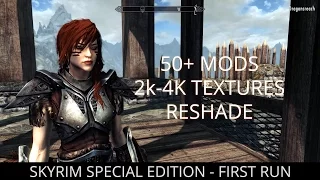 FIRST RUN - Skyrim Special Edition Modded. 50+ Mods, 2k/4k textures + Reshade