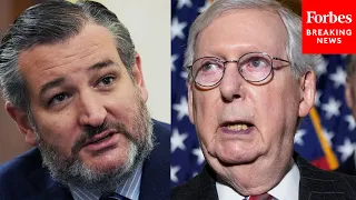 JUST IN: Ted Cruz Calls Out Mitch McConnell After GOP's Lackluster Performance