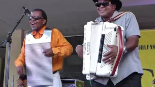 Nathan and the Zydeco Cha Chas Live, 2016, at the 10th Annual Louisiana Cajun-Zydeco Festival