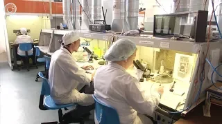 Новосибирский завод полупроводниковых приборов готов конкурировать с корейским Samsung