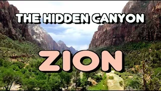 ОС #154 / Зайон Национальный Парк, Штат Юта, США / the Hidden Canyon Hike