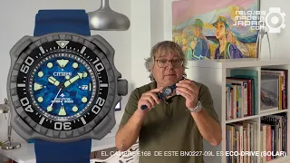 Reloj citizen Promaster 1982 divers 200M : distintivo y único