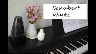 Ф. Шуберт. Вальс си минор/ Schubert. Waltz.