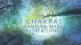 ALL 7 chakras Cleansing - Deep Meditation & Sleep | RAV Drum & Chakapa Journey