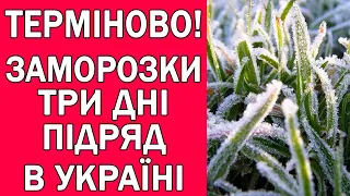 ТРИ ДНІ ПІДРЯД ЗАМОРОЗКИ ДО - 5 В УКРАЇНІ